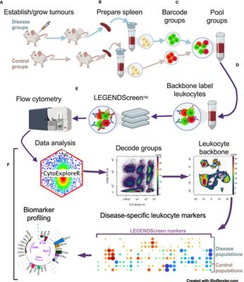 Identifying cancer-associated leukocyte profiles using high-resolution flow cytometry screening and machine learning